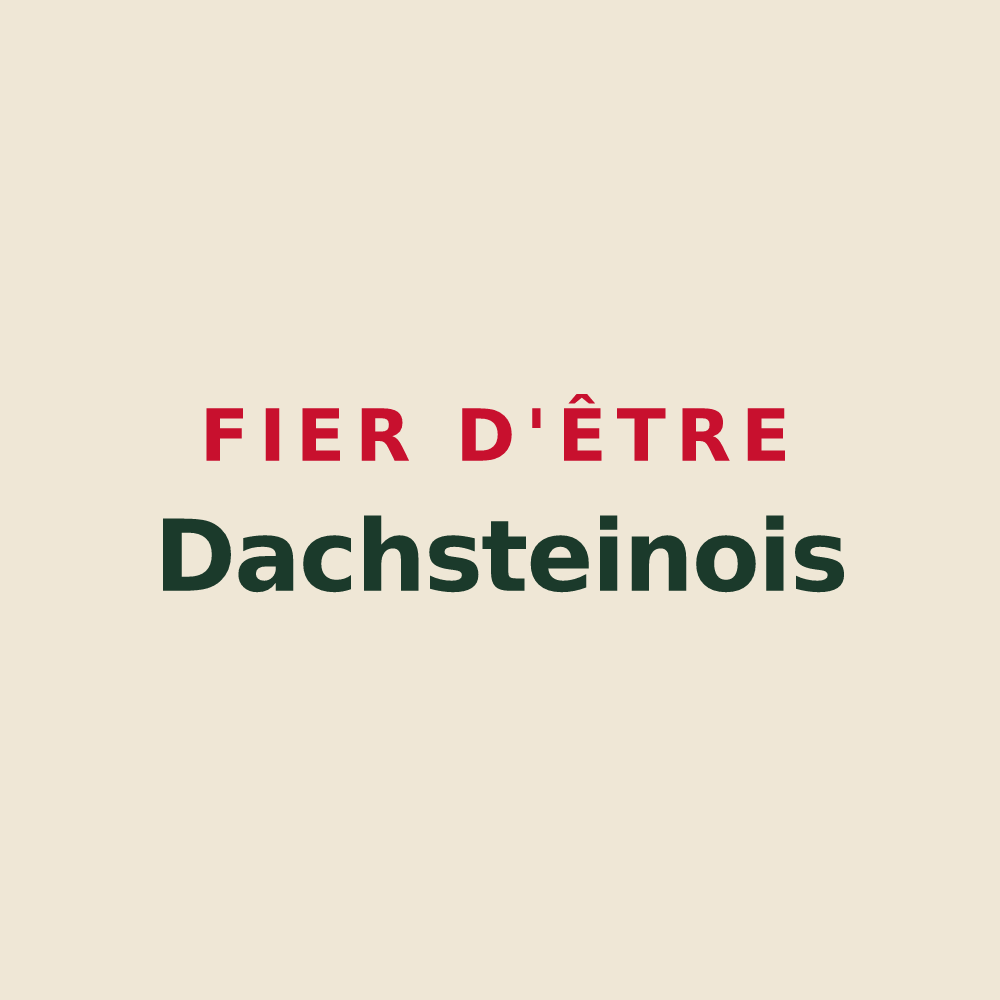 Tote bag « Fier d'être Dachsteinois » — design pour Dachstein