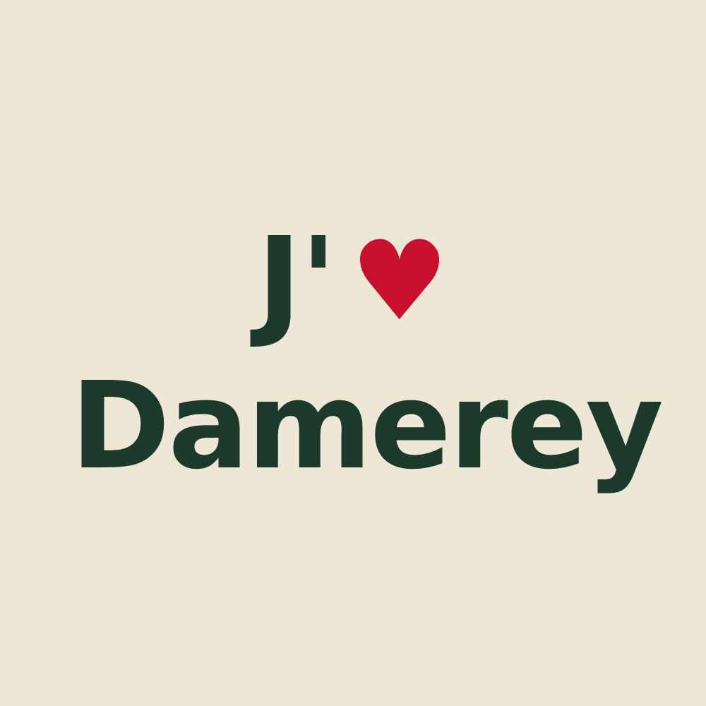 Tote bag personnalisé Damerey — design J'aime Damerey