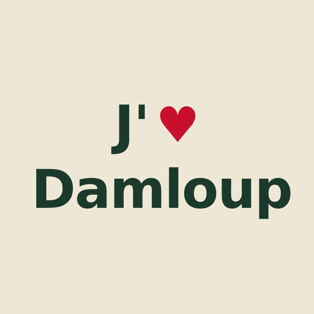 Tote bag personnalisé Damloup — design J'aime Damloup