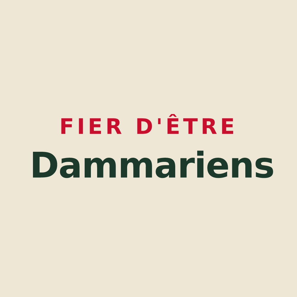 Tote bag « Fier d'être Dammariens » — design pour Dammarie-sur-Loing