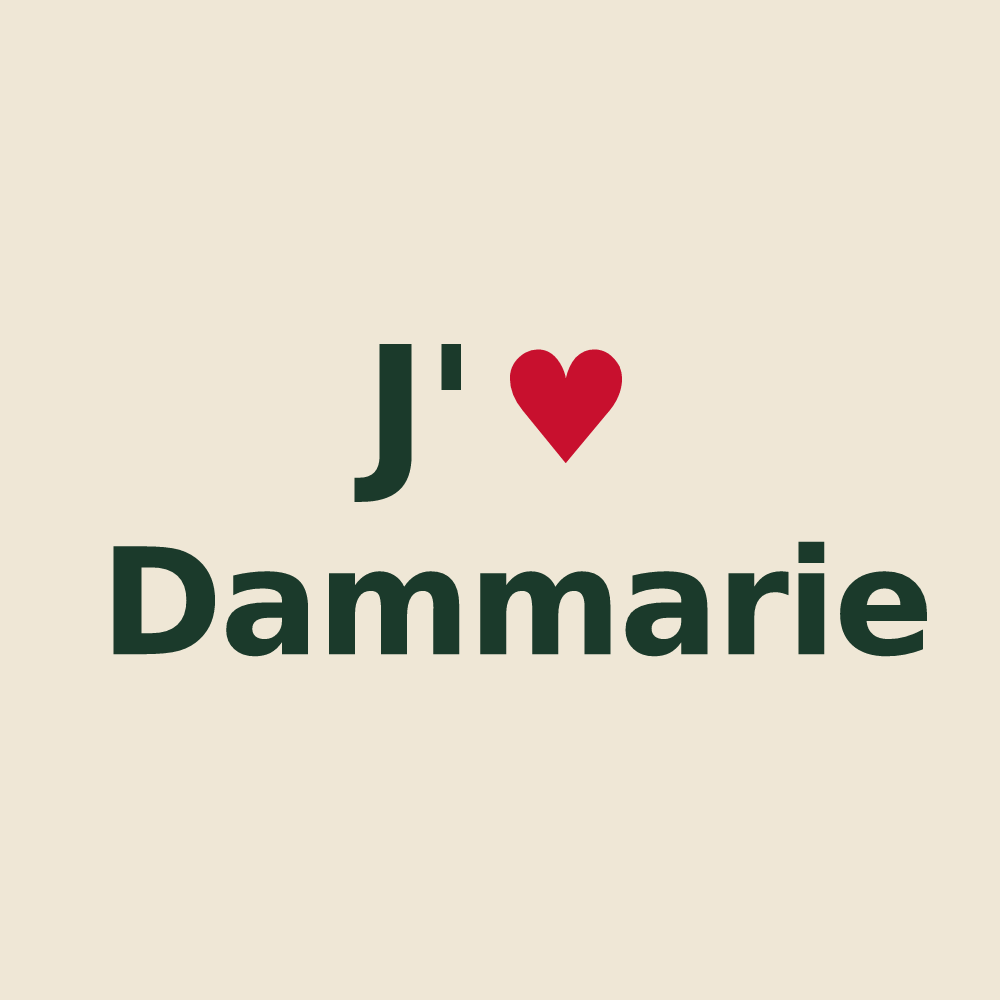 Tote bag personnalisé Dammarie — design J'aime Dammarie