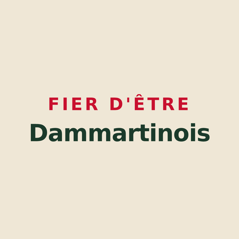 Tote bag « Fier d'être Dammartinois » — design pour Dammartin-en-Goële