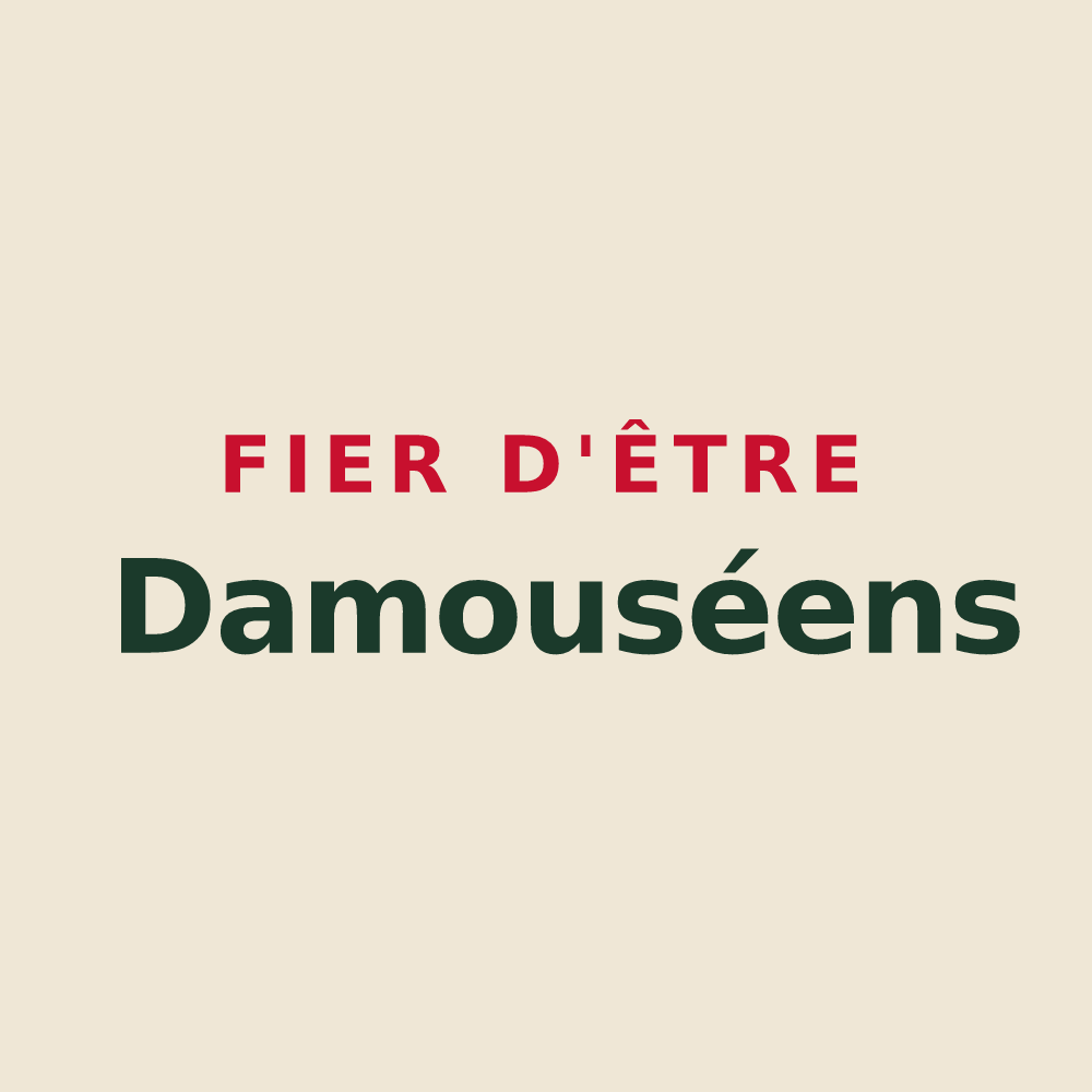 Tote bag « Fier d'être Damouséens » — design pour Damousies