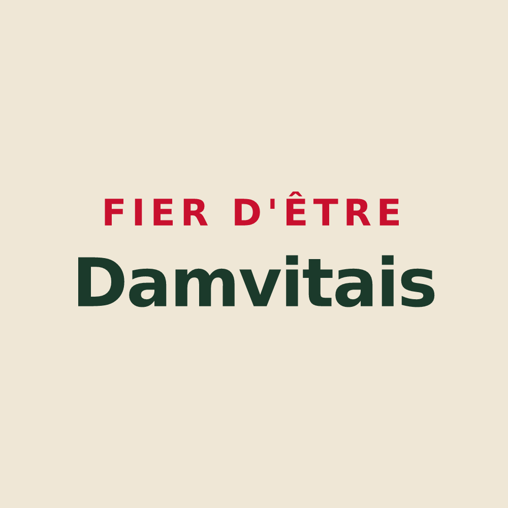 Tote bag « Fier d'être Damvitais » — design pour Damvix