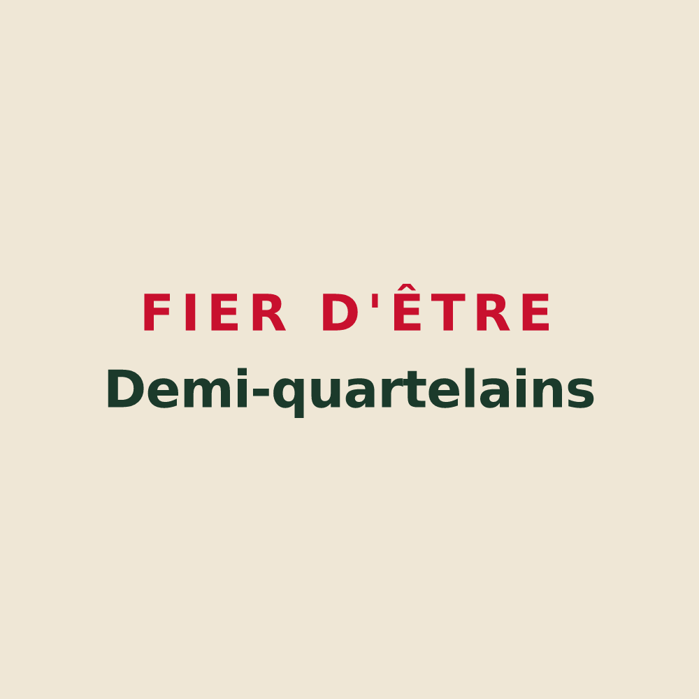 Tote bag « Fier d'être Demi-quartelains » — design pour Demi-Quartier