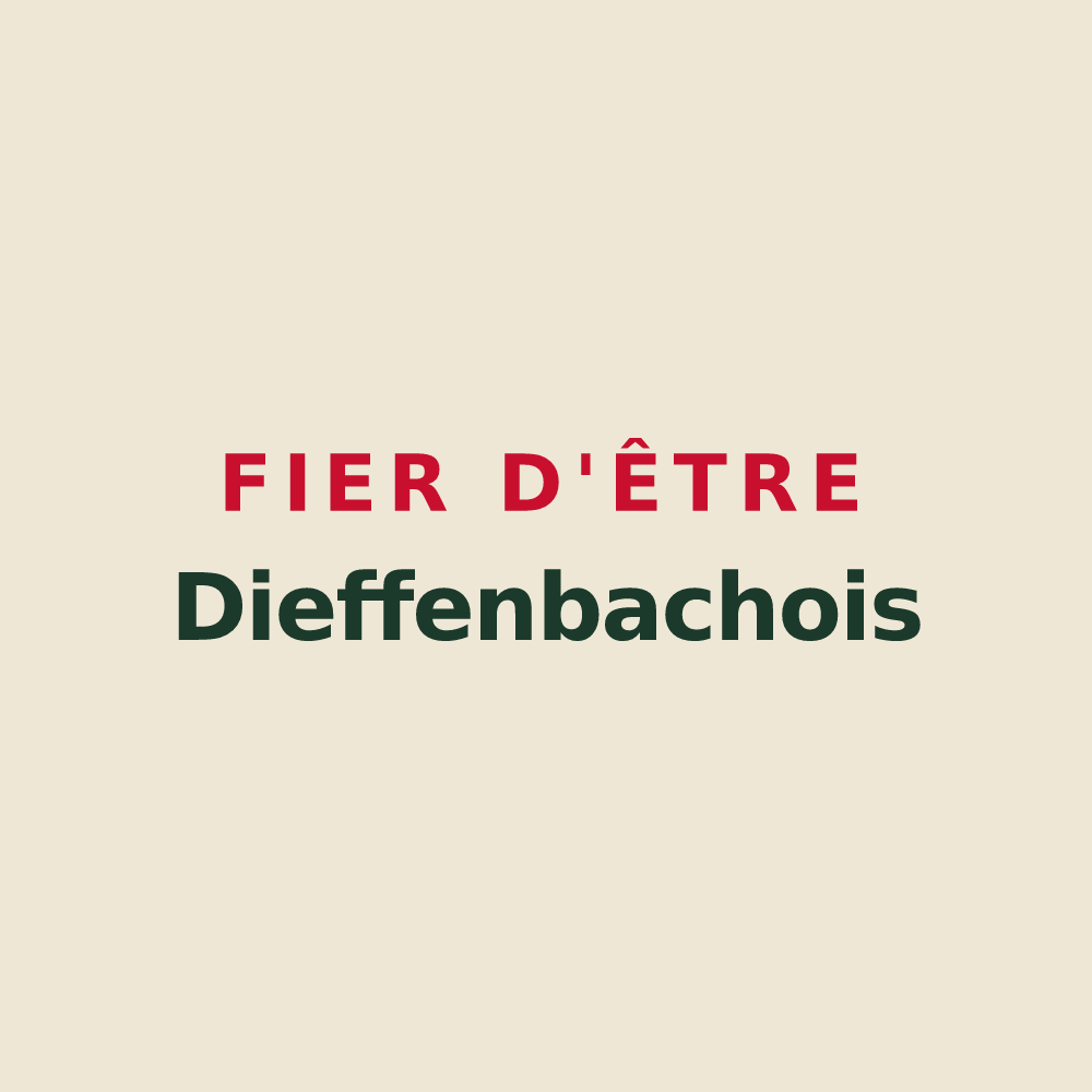 Tote bag « Fier d'être Dieffenbachois » — design pour Dieffenbach-au-Val