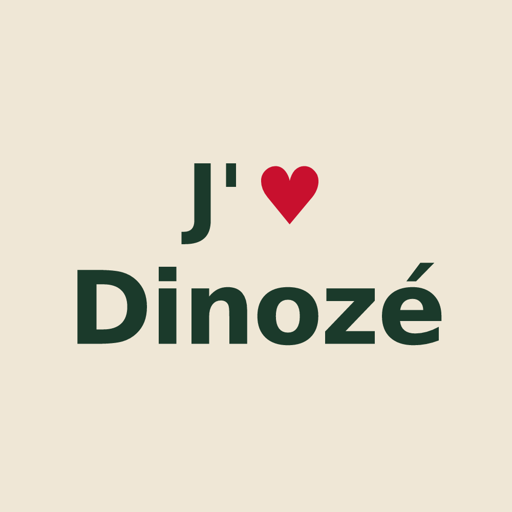 Tote bag personnalisé Dinozé — design J'aime Dinozé