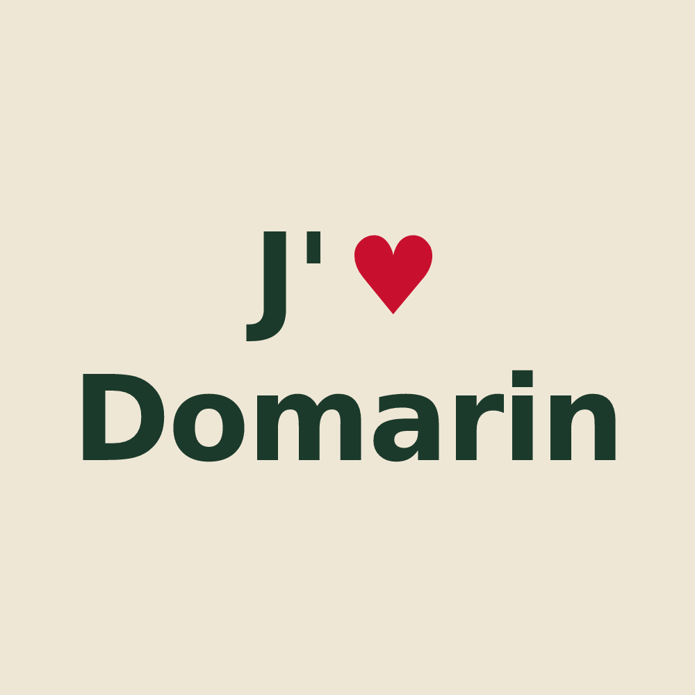 Tote bag personnalisé Domarin — design J'aime Domarin