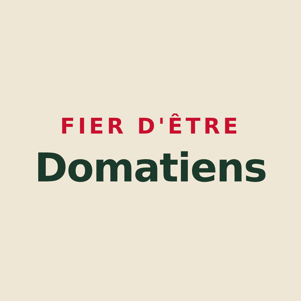 Tote bag « Fier d'être Domatiens » — design pour Domats