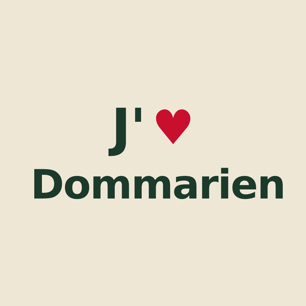Tote bag personnalisé Dommarien — design J'aime Dommarien