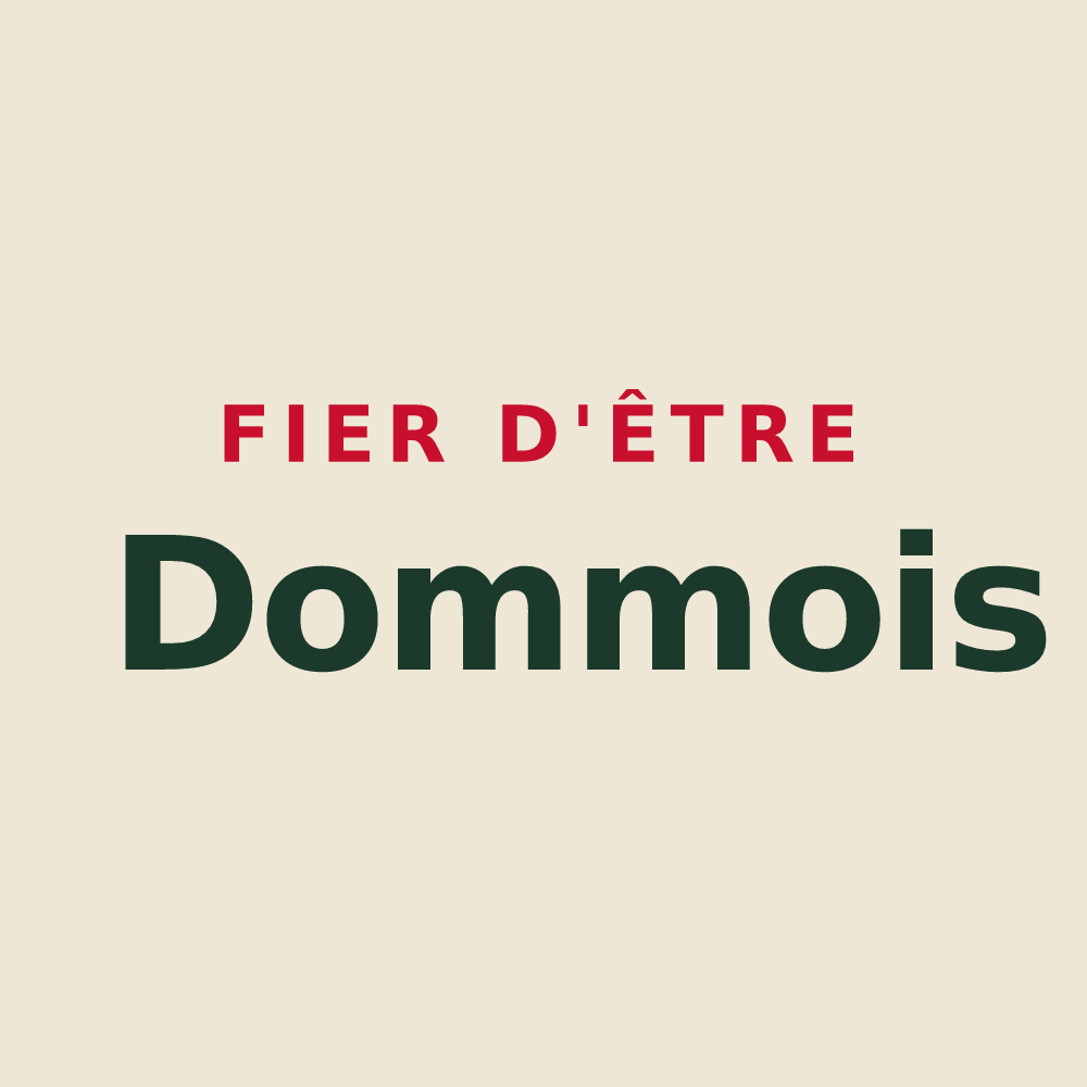 Tote bag « Fier d'être Dommois » — design pour Domme