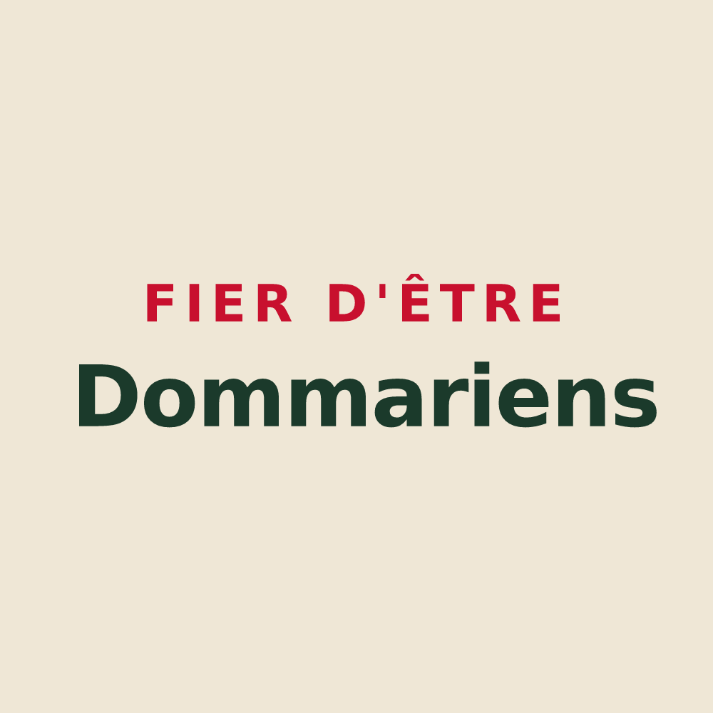 Tote bag « Fier d'être Dommariens » — design pour Dommiers