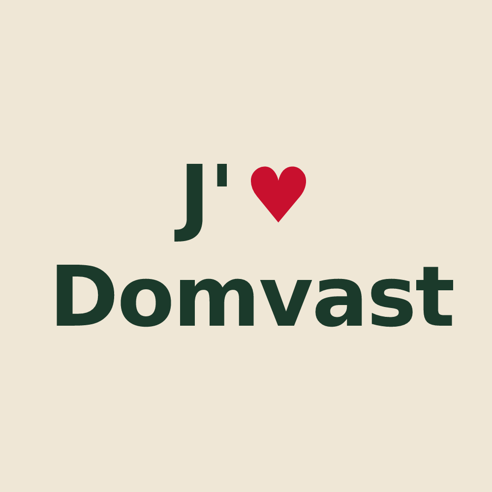 Tote bag personnalisé Domvast — design J'aime Domvast