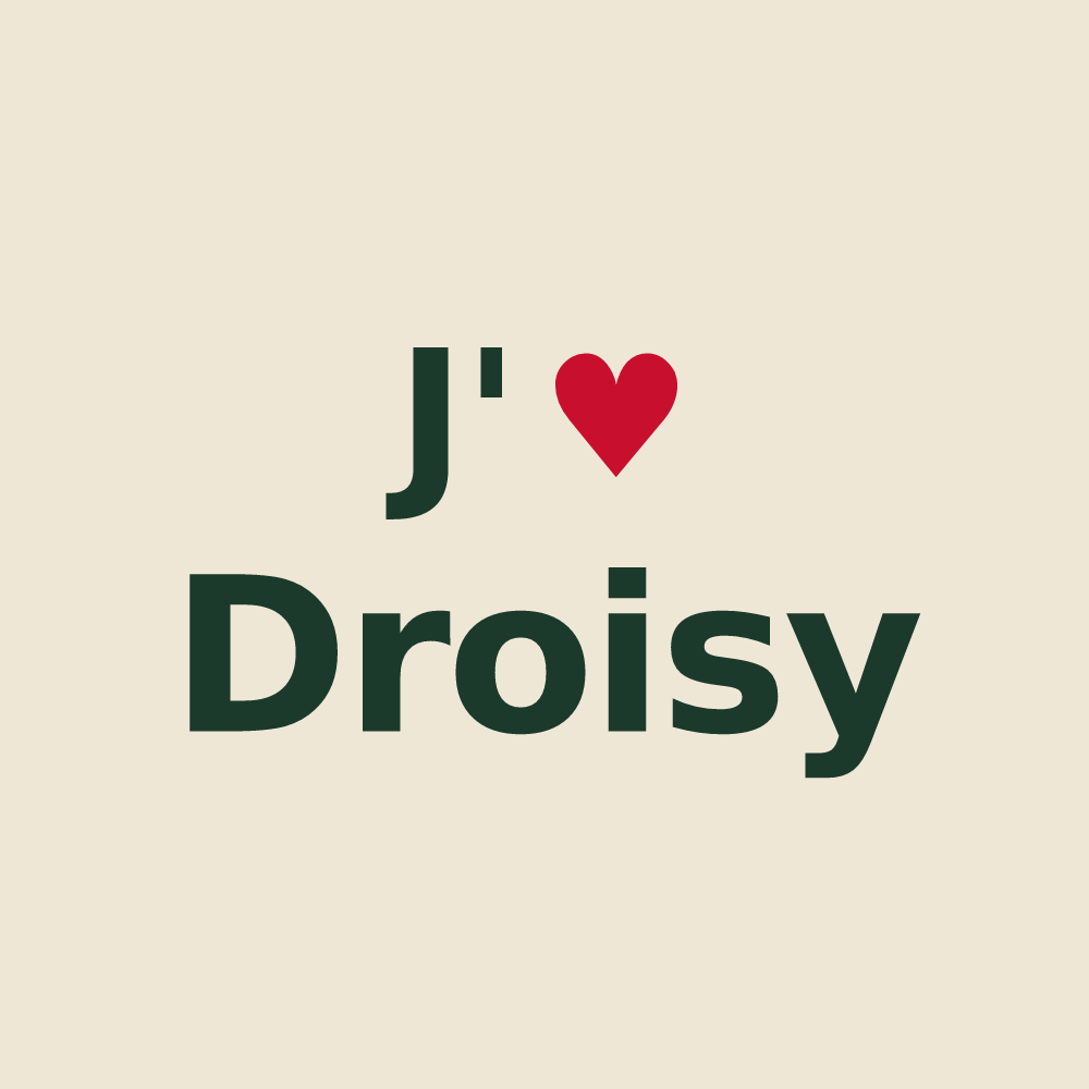 Tote bag personnalisé Droisy — design J'aime Droisy