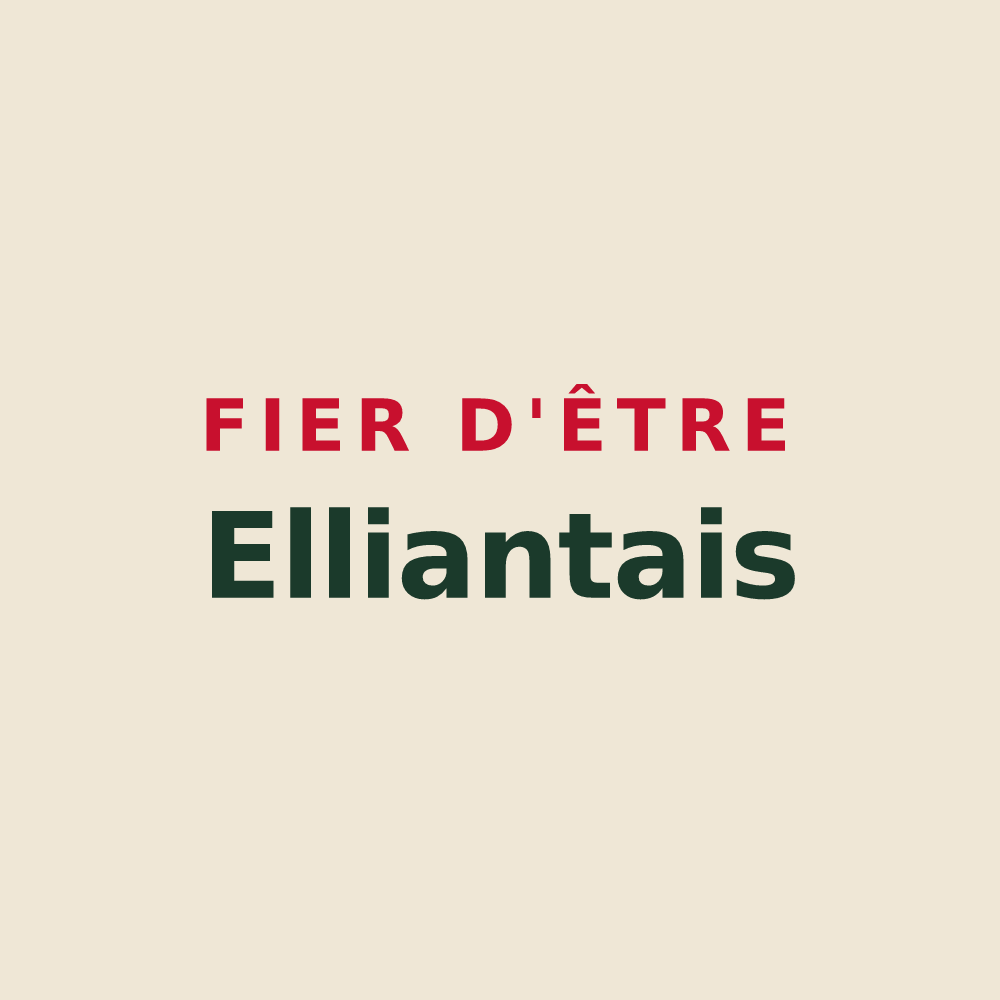 Tote bag « Fier d'être Elliantais » — design pour Elliant