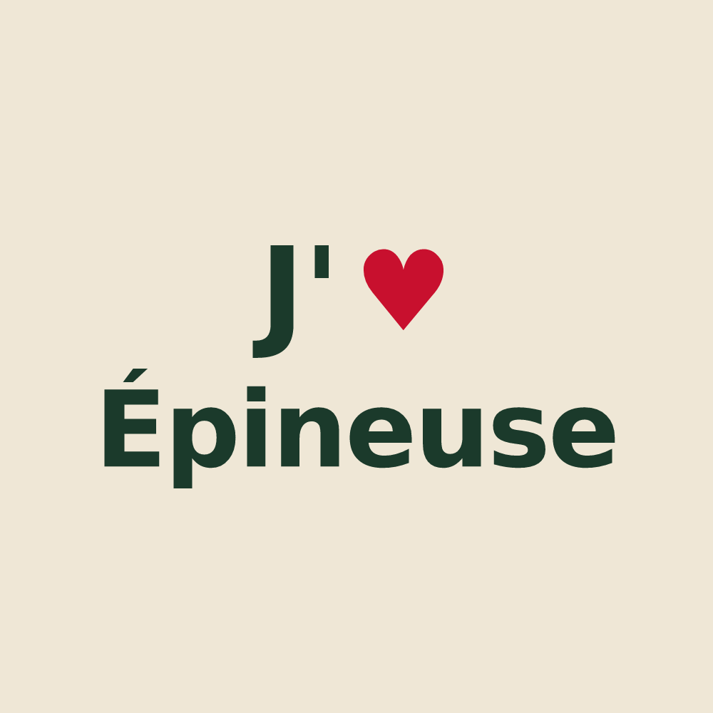 Tote bag personnalisé Épineuse — design J'aime Épineuse