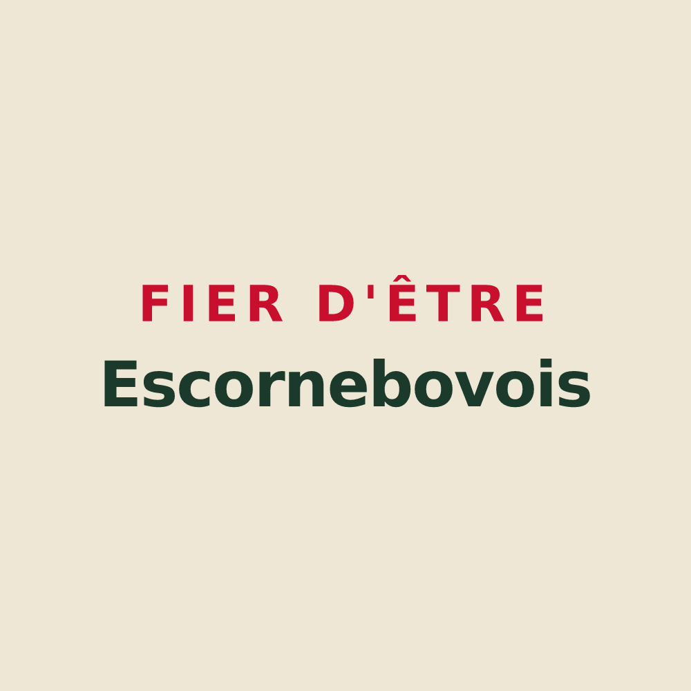 Tote bag « Fier d'être Escornebovois » — design pour Escornebœuf