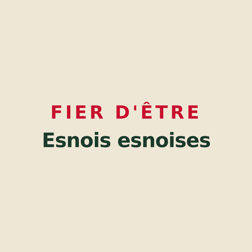 Tote bag « Fier d'être Esnois esnoises » — design pour Esnes