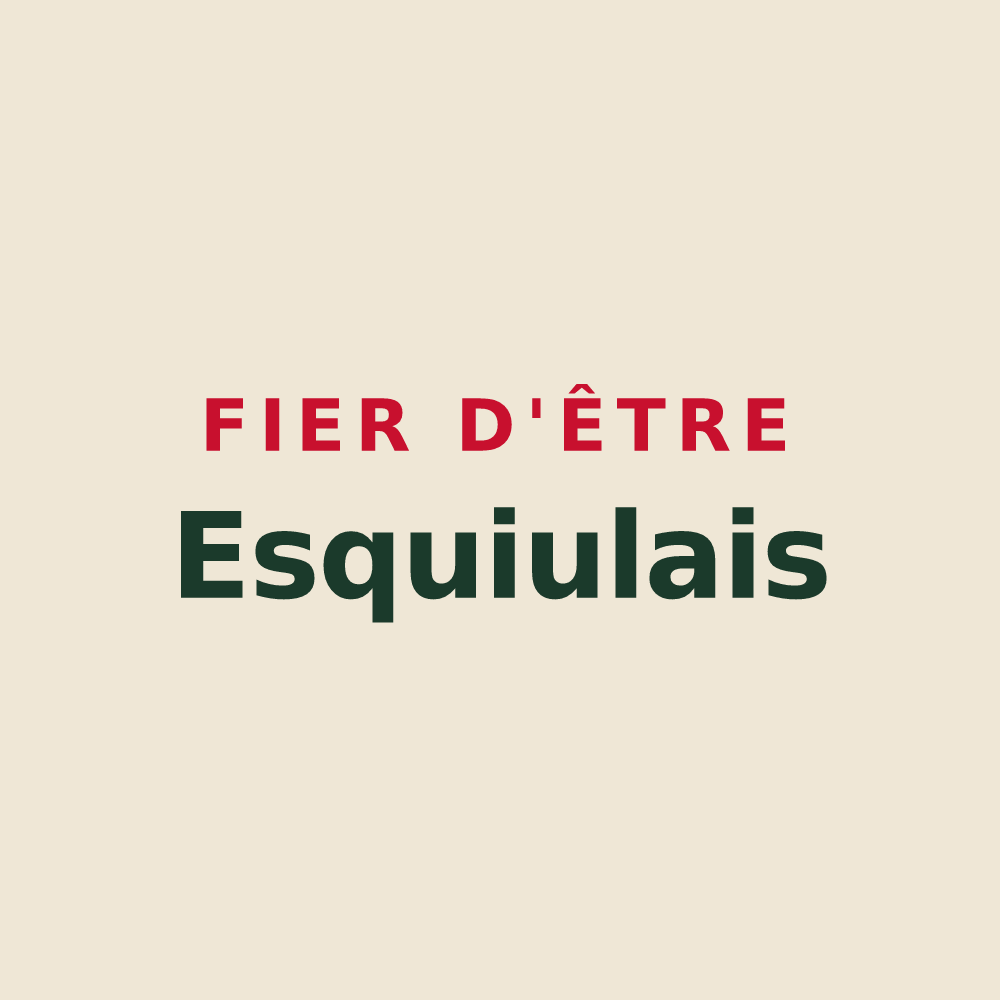 Tote bag « Fier d'être Esquiulais » — design pour Esquiule