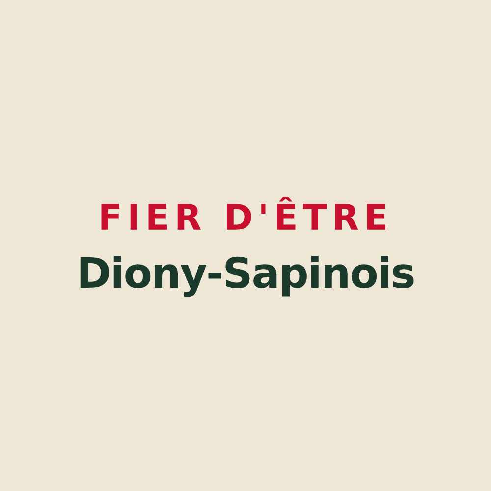 Tote bag « Fier d'être Diony-Sapinois » — design pour Essouvert