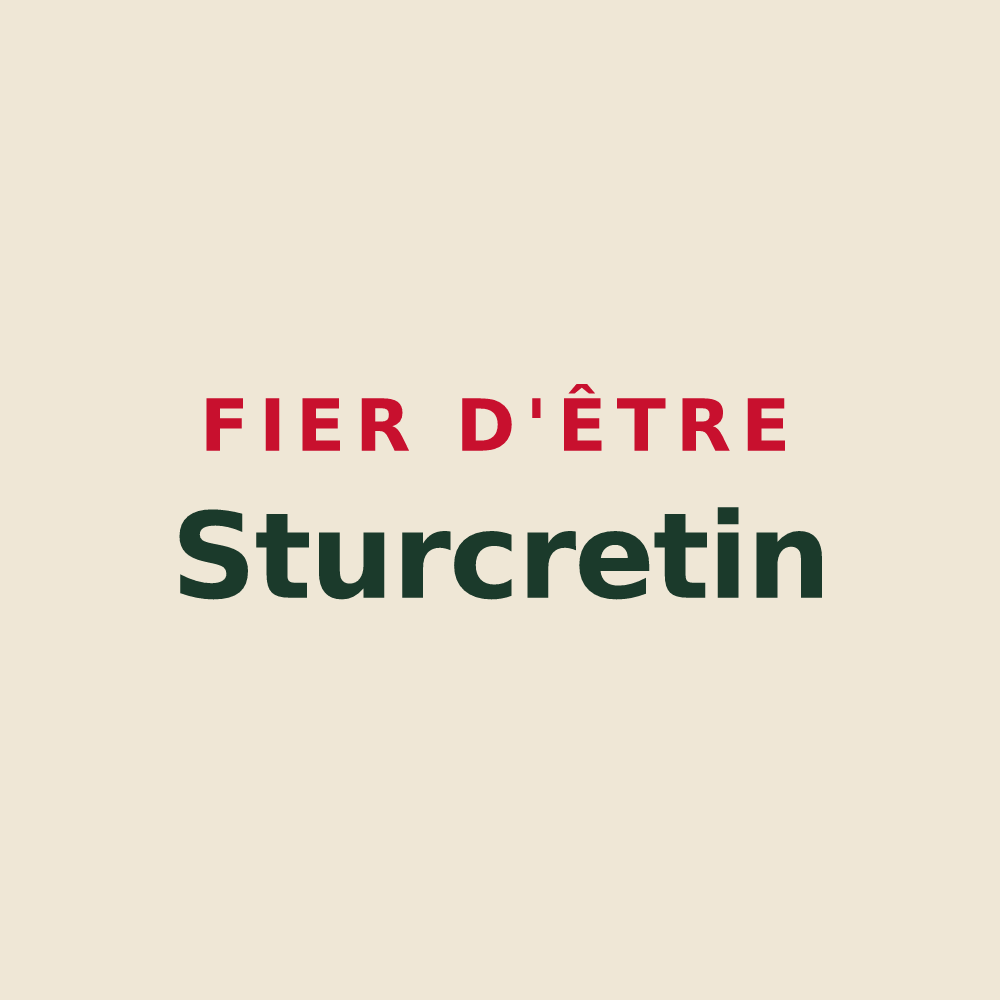 Tote bag « Fier d'être Sturcretin » — design pour Éturqueraye