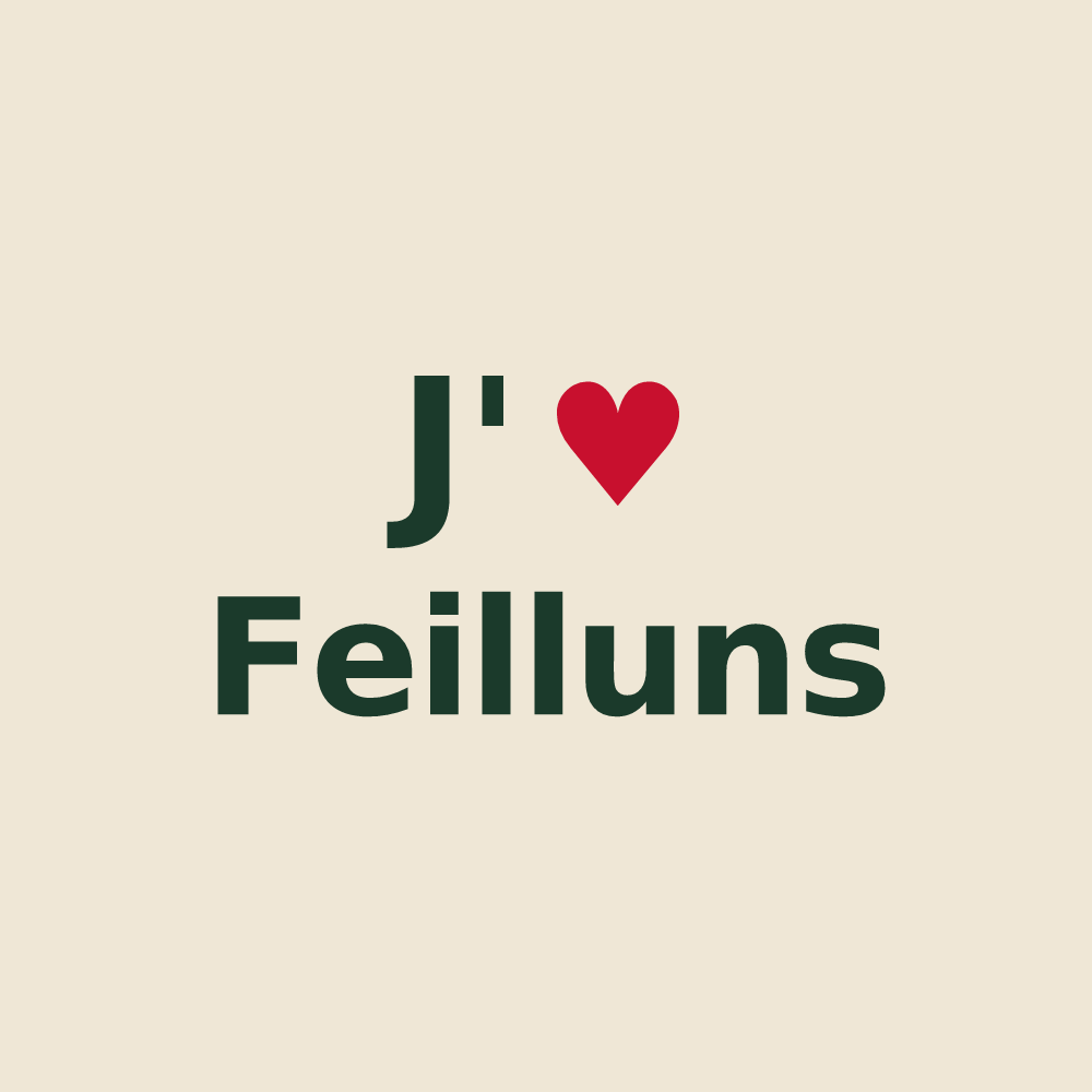 Tote bag personnalisé Feilluns — design J'aime Feilluns