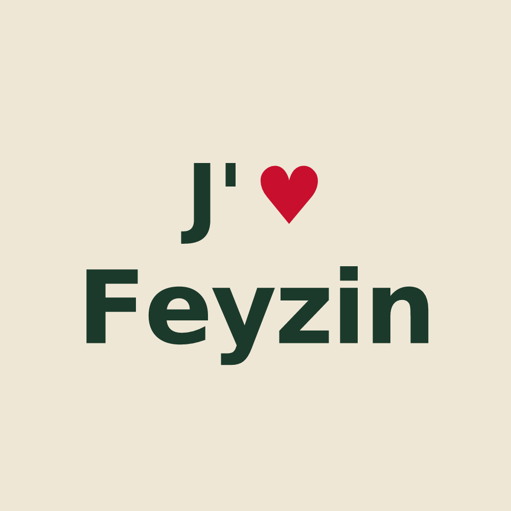 Tote bag personnalisé Feyzin — design J'aime Feyzin