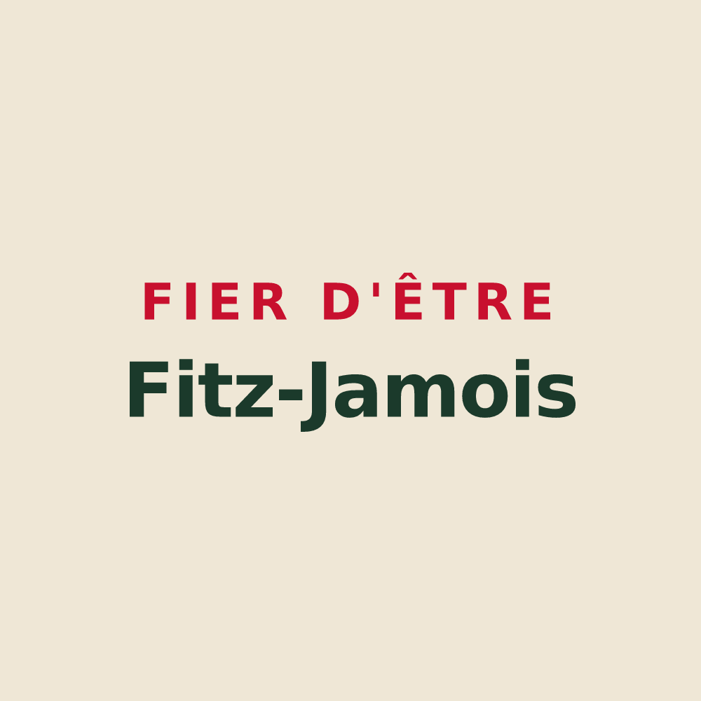 Tote bag « Fier d'être Fitz-Jamois » — design pour Fitz-James