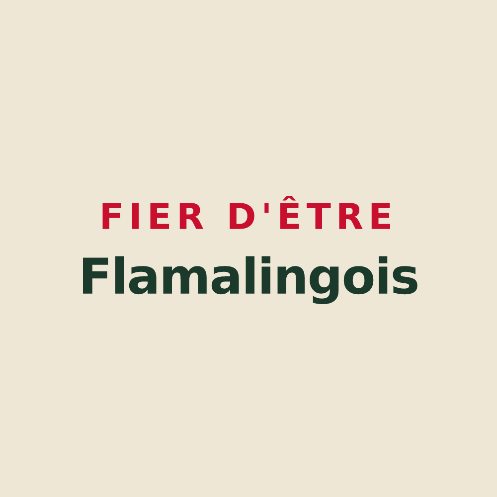 Tote bag « Fier d'être Flamalingois » — design pour Flamarens