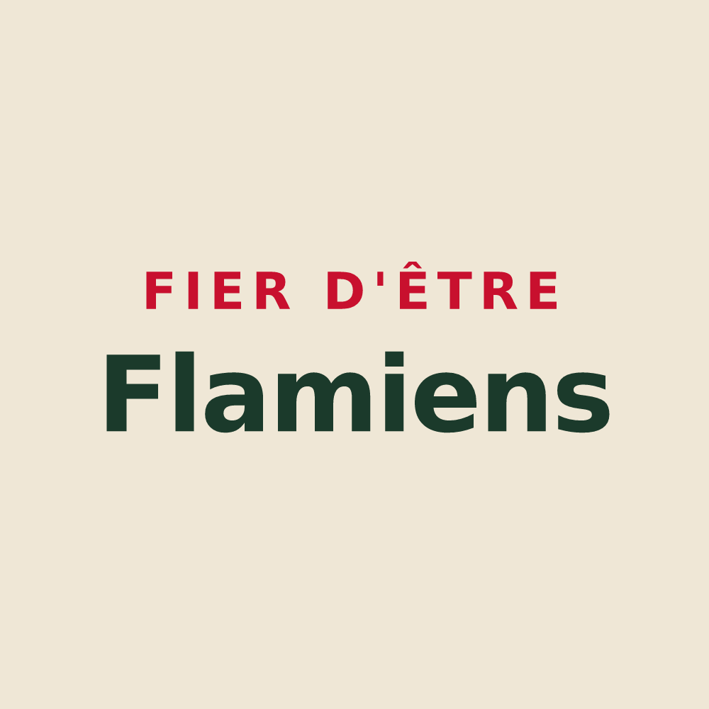 Tote bag « Fier d'être Flamiens » — design pour Flamets-Frétils