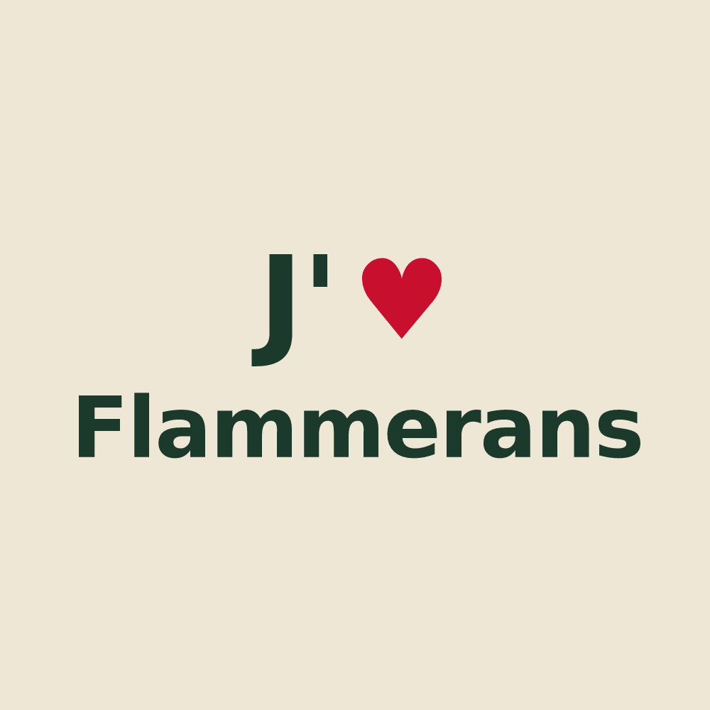 Tote bag personnalisé Flammerans — design J'aime Flammerans