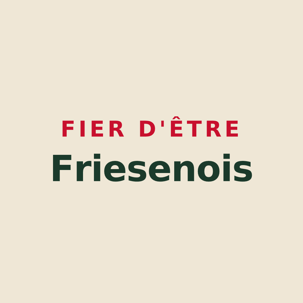 Tote bag « Fier d'être Friesenois » — design pour Friesen