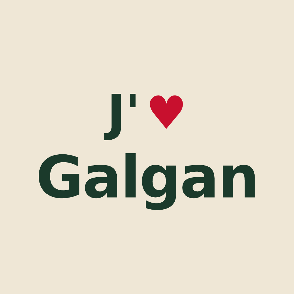 Tote bag personnalisé Galgan — design J'aime Galgan