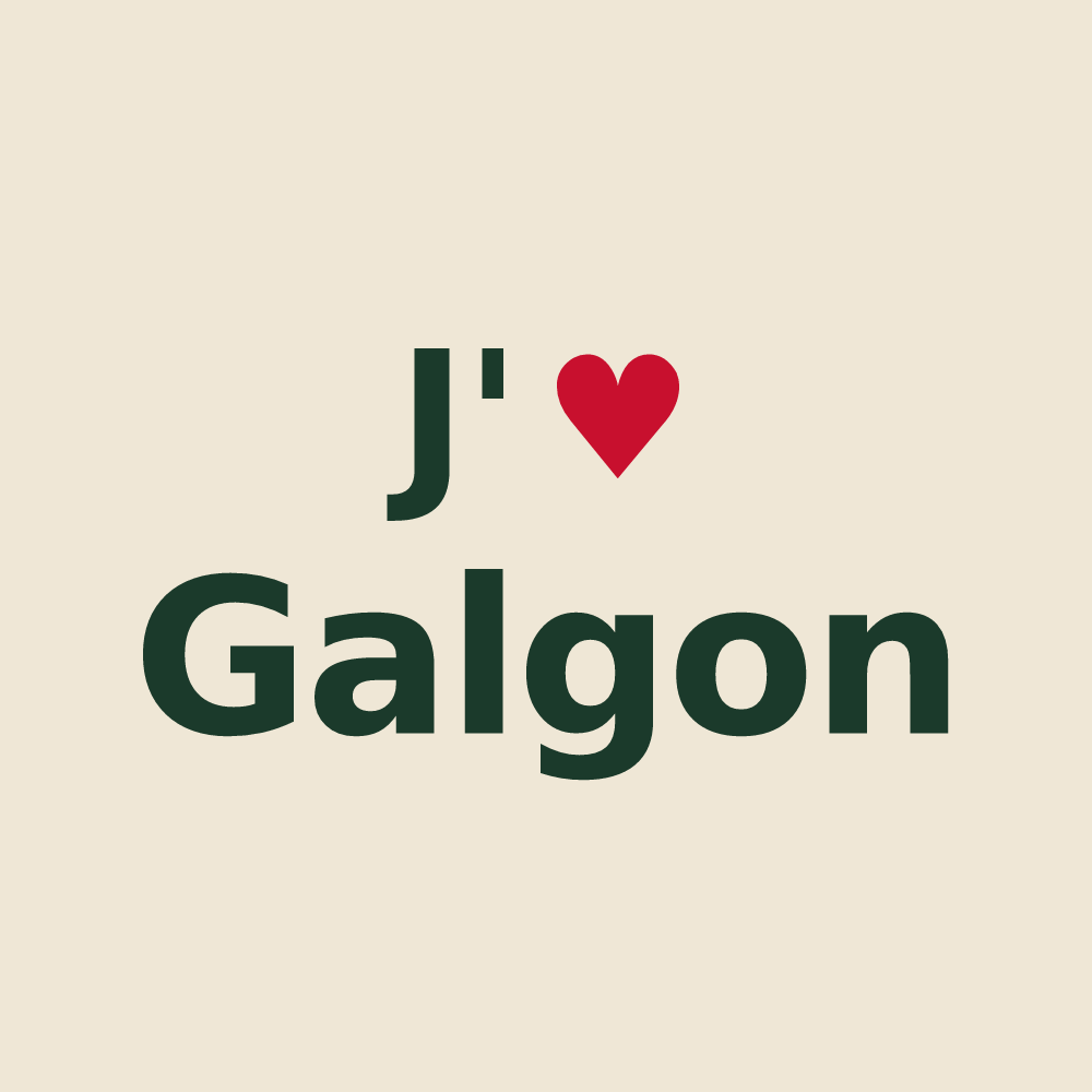 Tote bag personnalisé Galgon — design J'aime Galgon