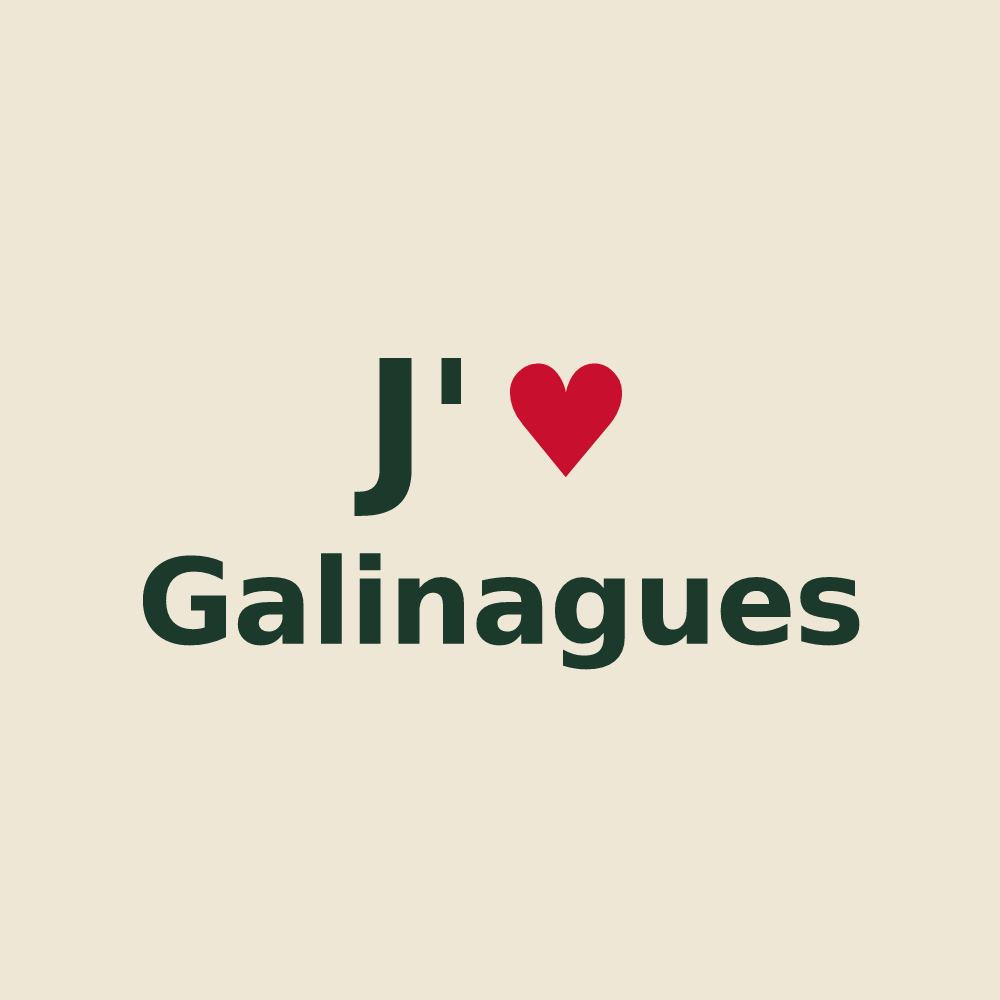 Tote bag personnalisé Galinagues — design J'aime Galinagues