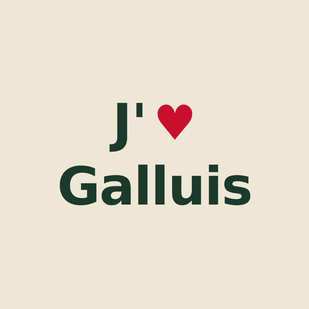 Tote bag personnalisé Galluis — design J'aime Galluis