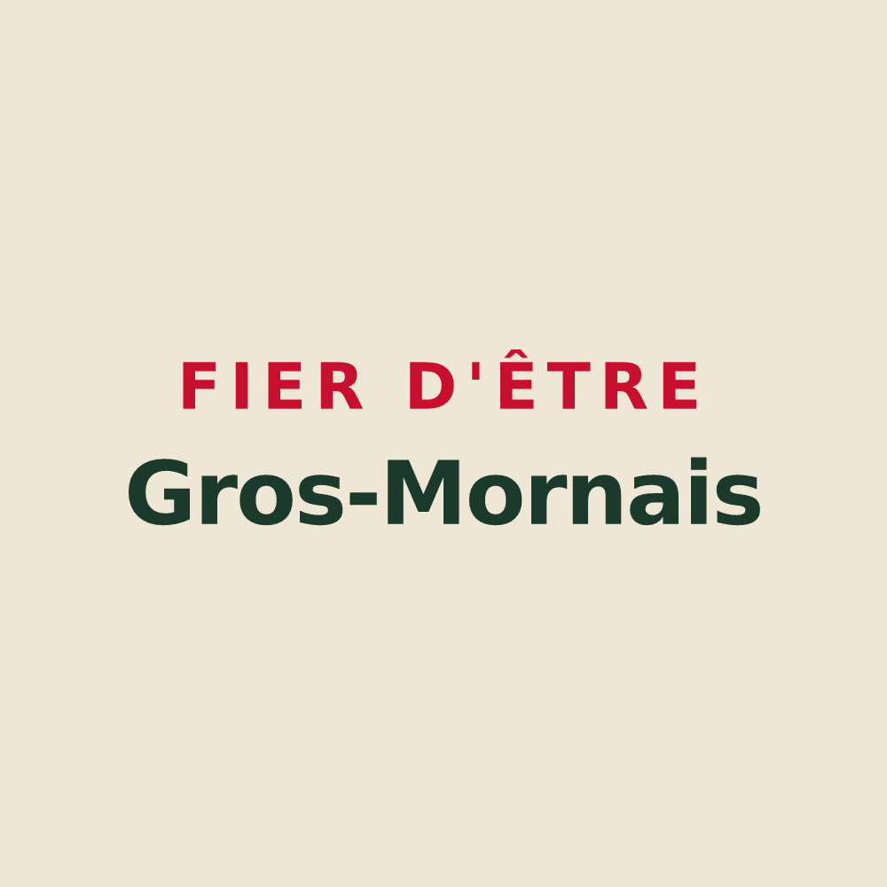 Tote bag « Fier d'être Gros-Mornais » — design pour Gros-Morne