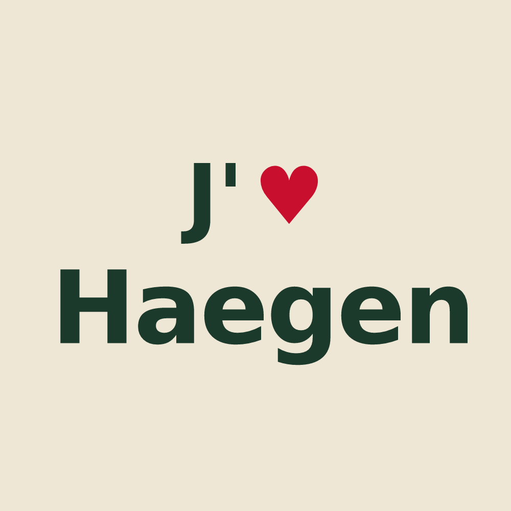 Tote bag personnalisé Haegen — design J'aime Haegen