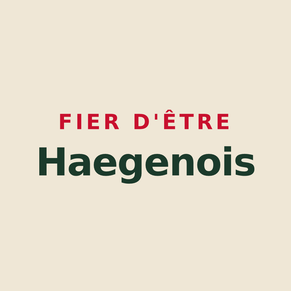 Tote bag « Fier d'être Haegenois » — design pour Haegen