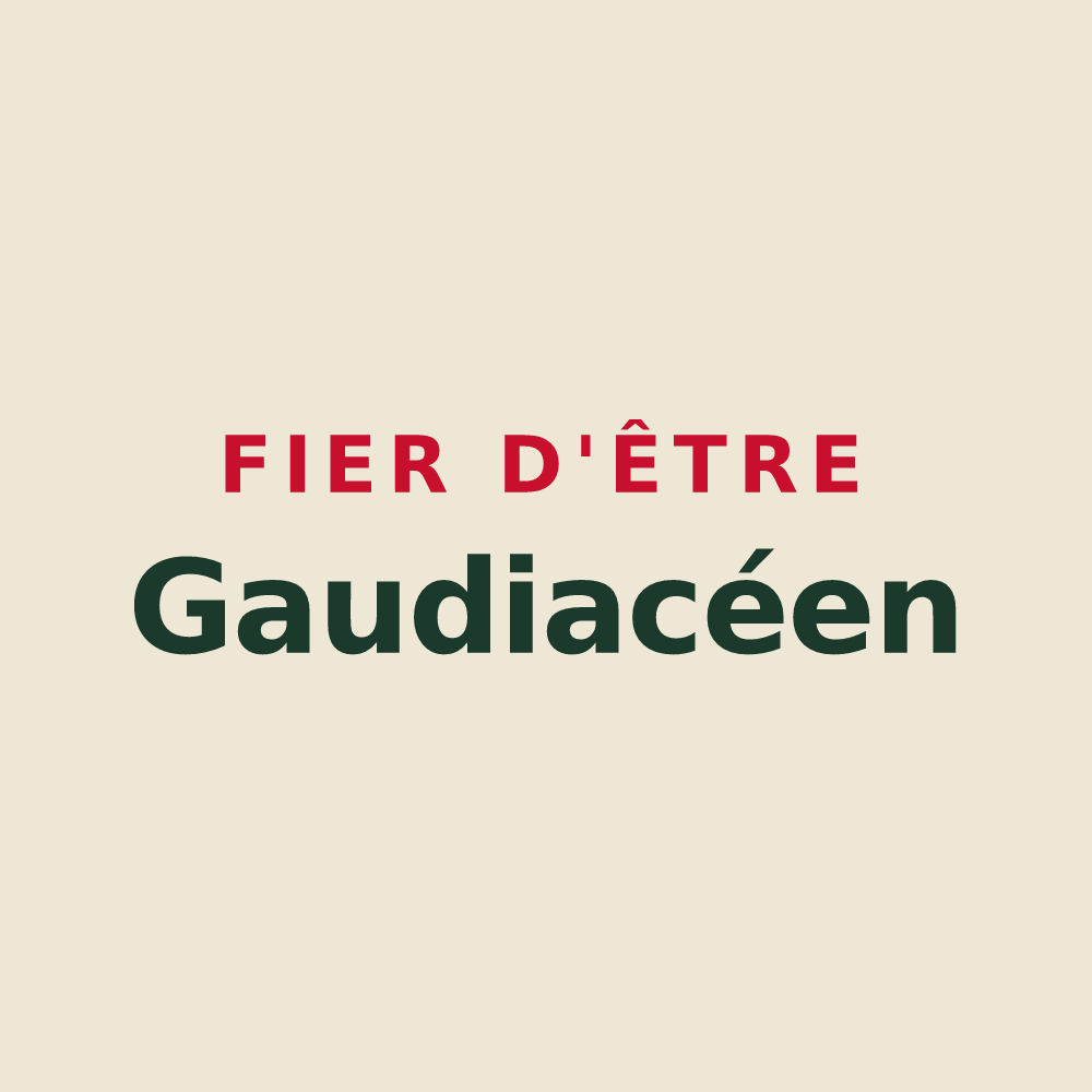 Tote bag « Fier d'être Gaudiacéen » — design pour Joué-du-Bois