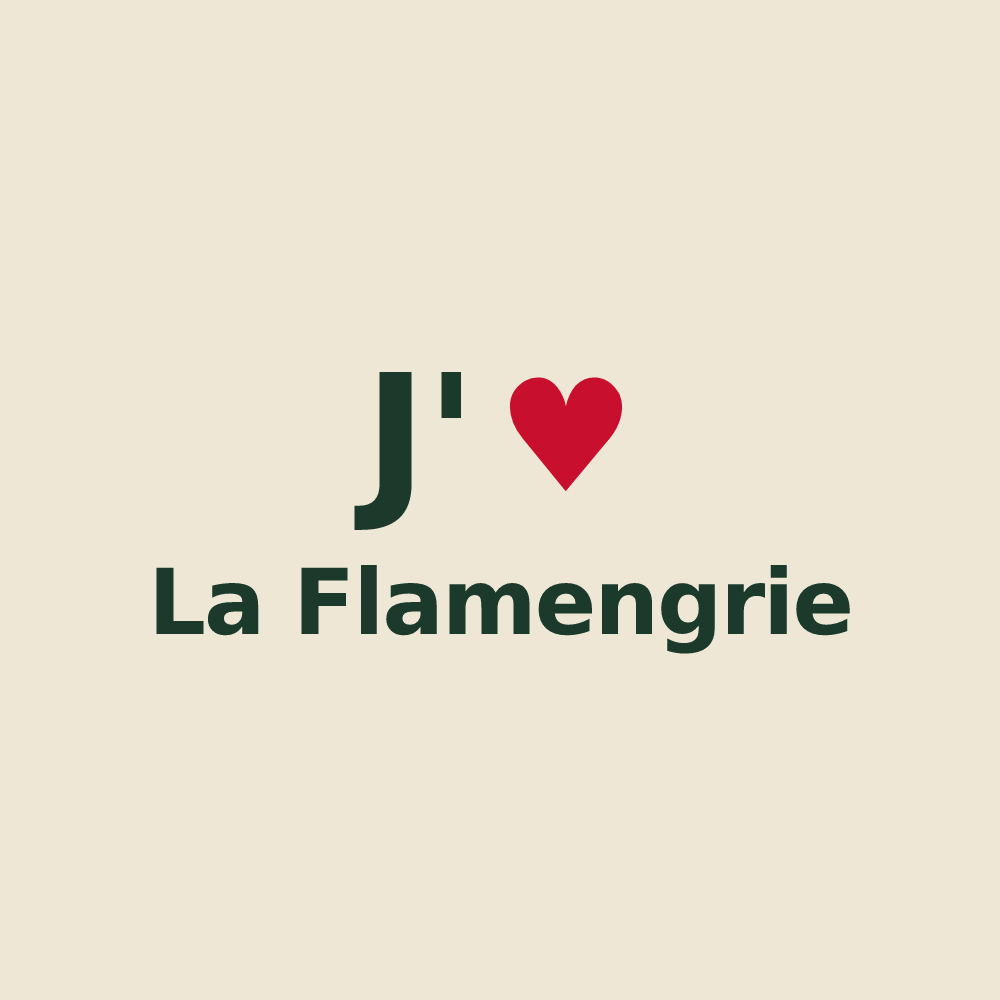Tote bag personnalisé La Flamengrie — design J'aime La Flamengrie