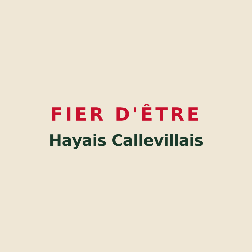 Tote bag « Fier d'être Hayais Callevillais » — design pour La Haye-de-Calleville