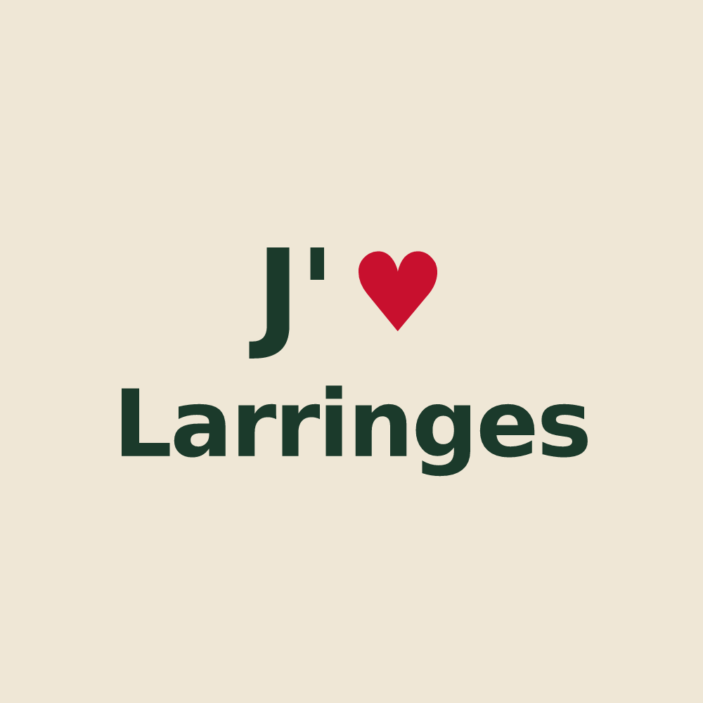 Tote bag personnalisé Larringes — design J'aime Larringes