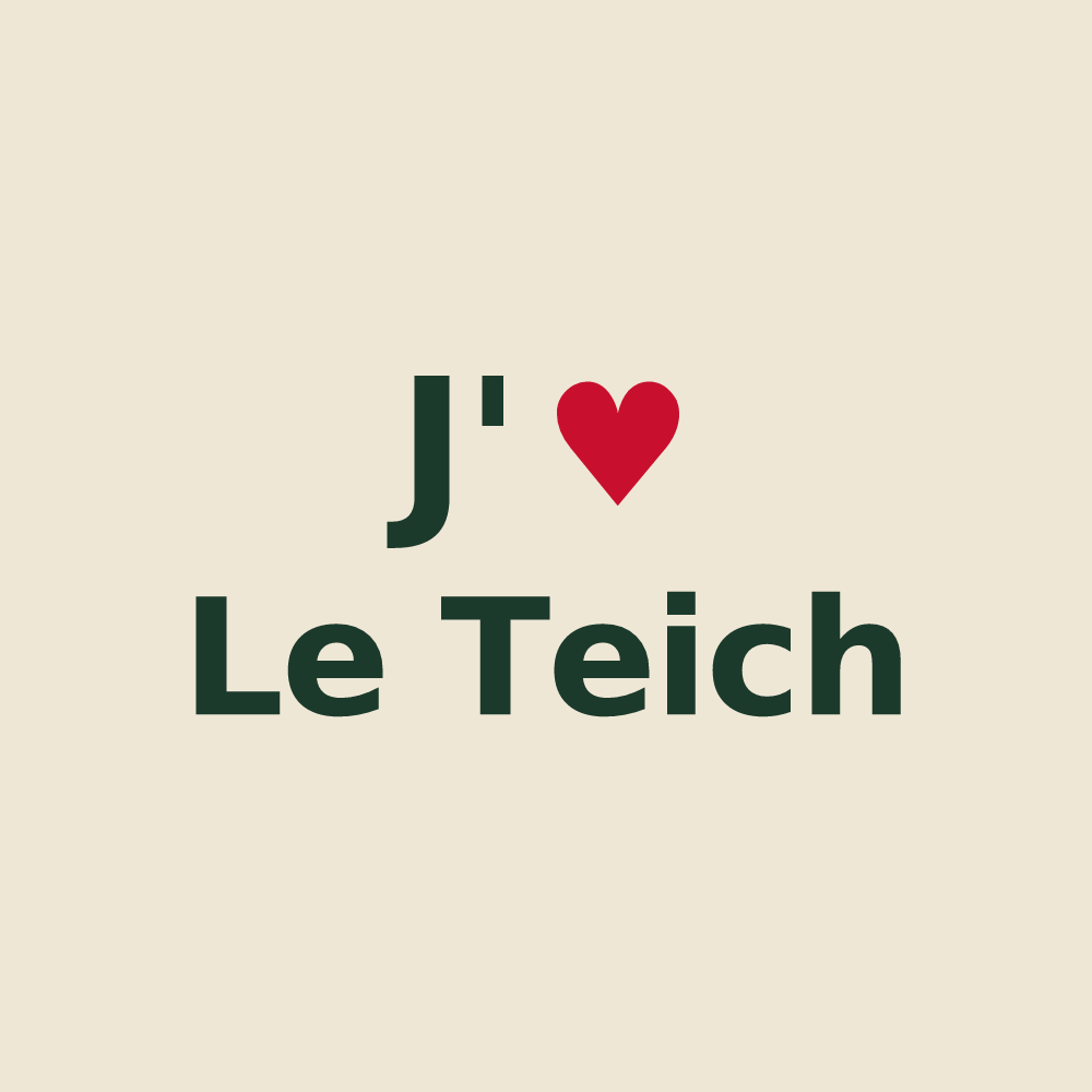Tote bag personnalisé Le Teich — design J'aime Le Teich
