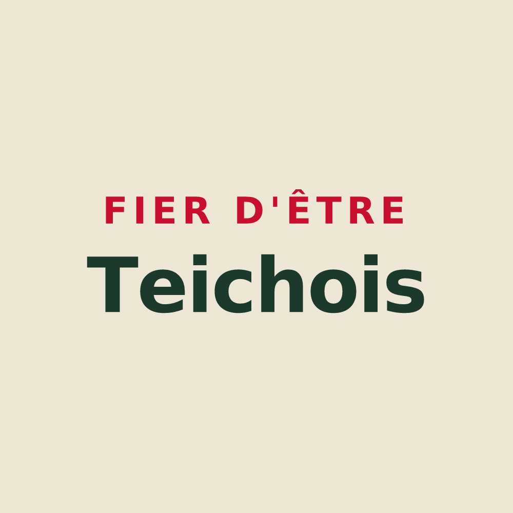 Tote bag « Fier d'être Teichois » — design pour Le Teich