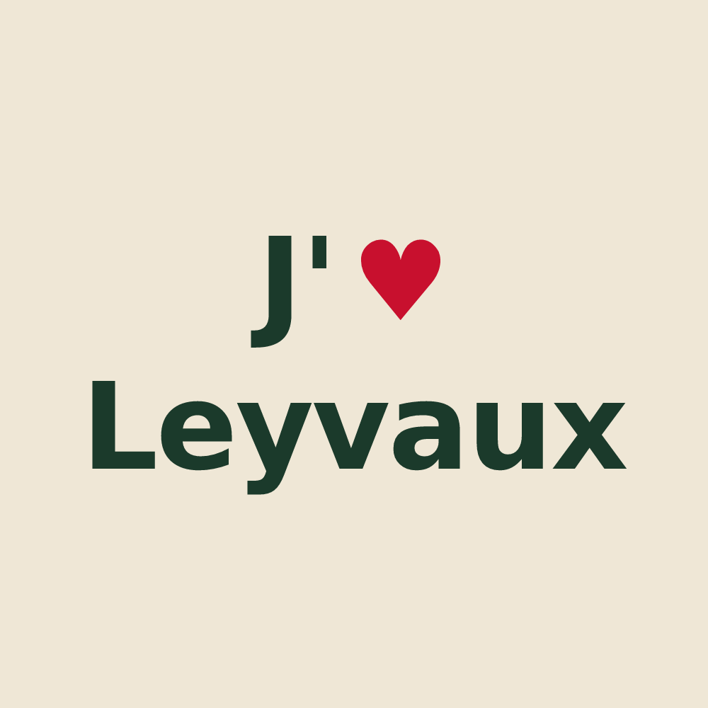Tote bag personnalisé Leyvaux — design J'aime Leyvaux