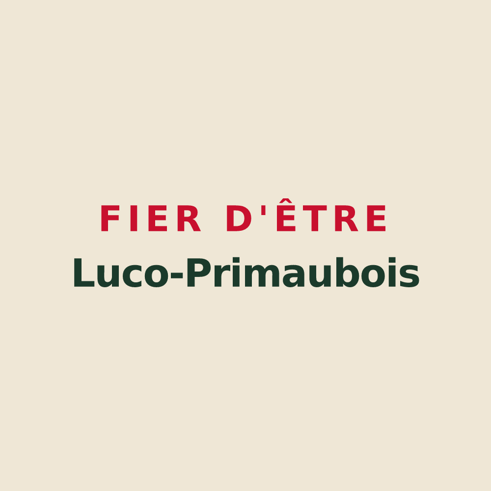 Tote bag « Fier d'être Luco-Primaubois » — design pour Luc-la-Primaube