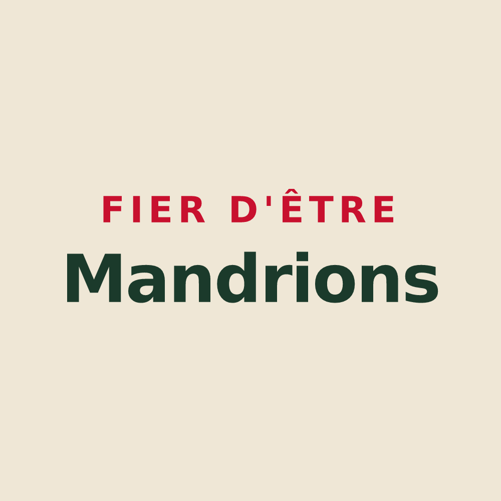 Tote bag « Fier d'être Mandrions » — design pour Mandres-les-Roses
