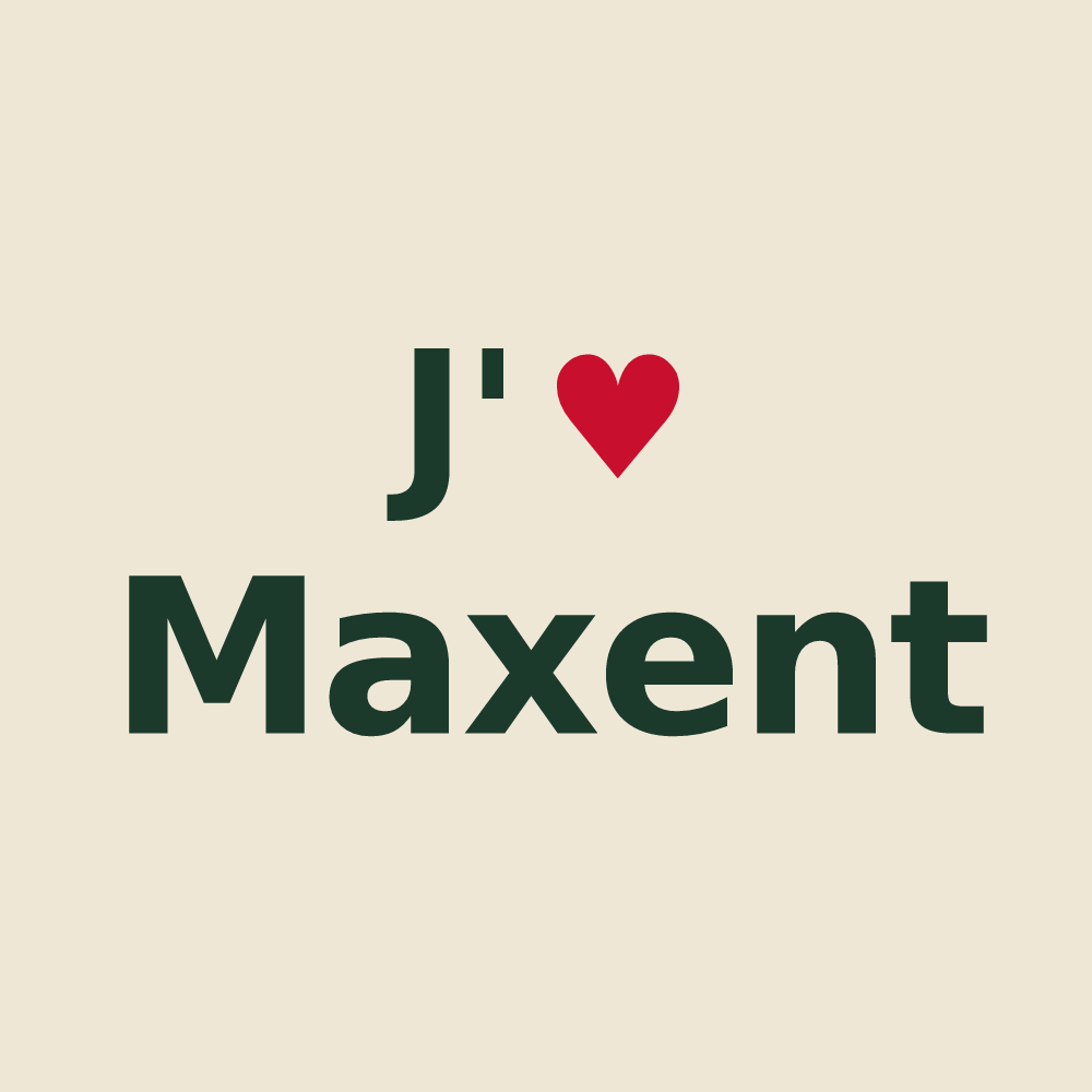 Tote bag personnalisé Maxent — design J'aime Maxent