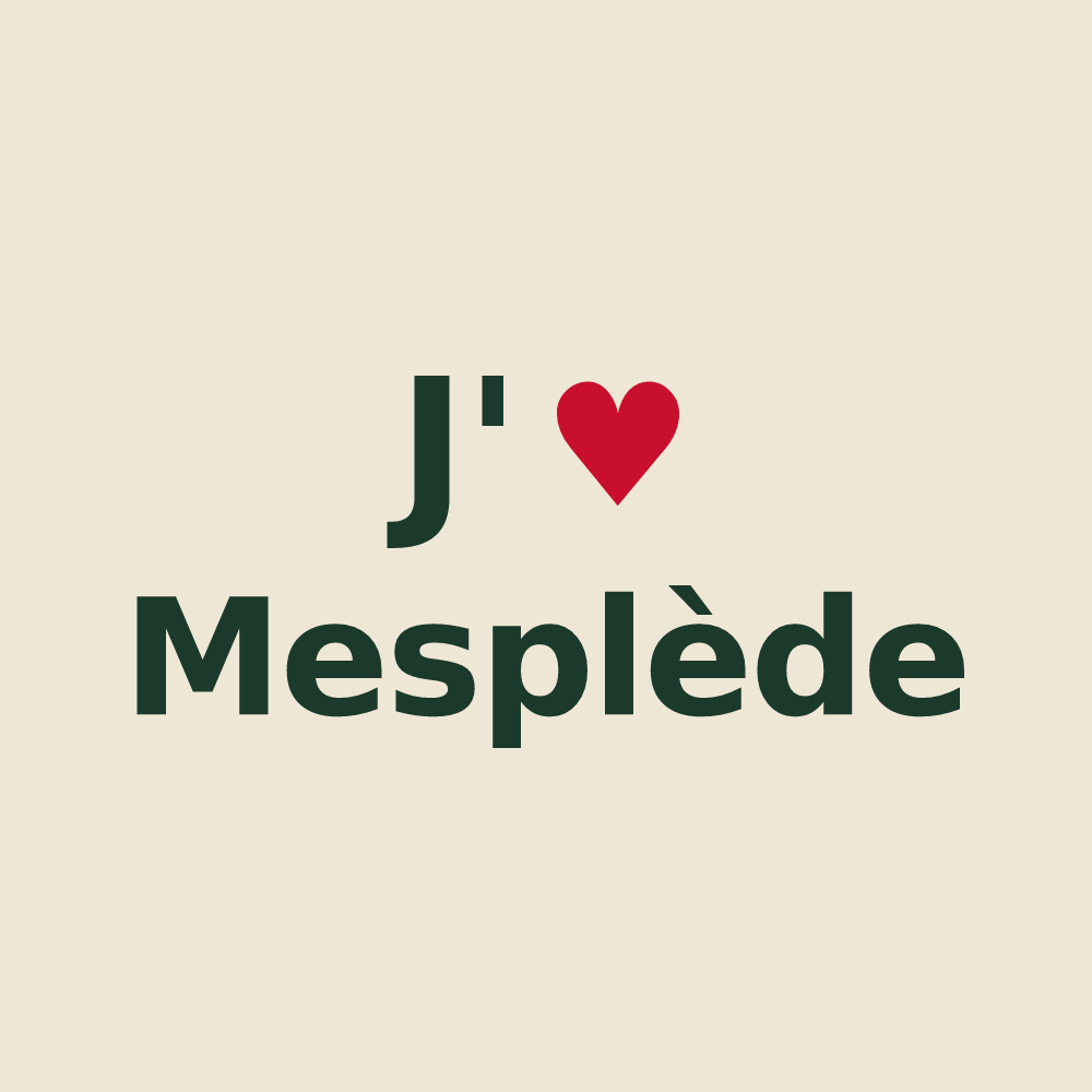 Tote bag personnalisé Mesplède — design J'aime Mesplède